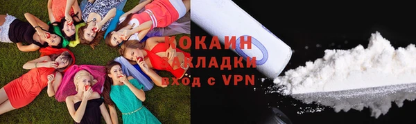 индика Зеленокумск