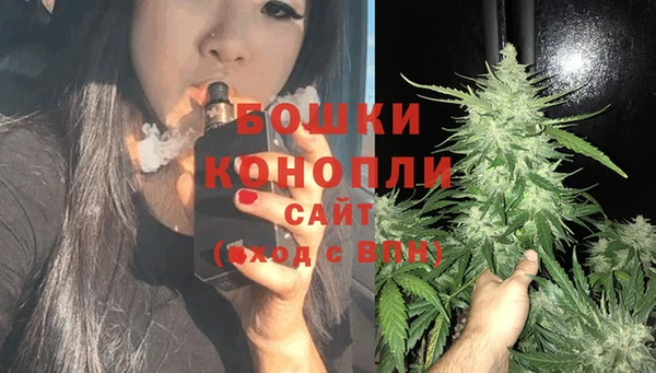 spice Зеленодольск