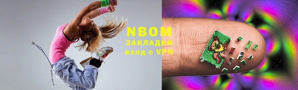 индика Зеленокумск