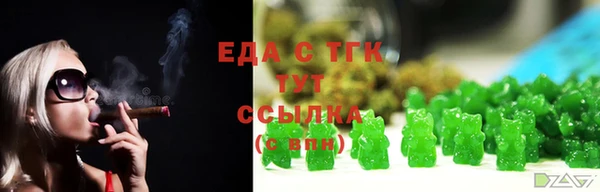 индика Зеленокумск