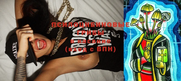 индика Зеленокумск