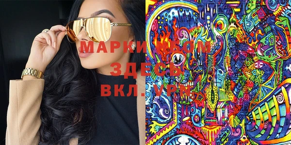 индика Зеленокумск