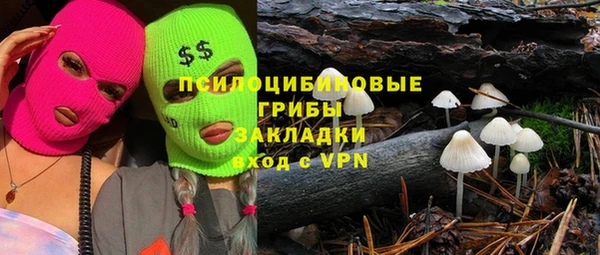 индика Зеленокумск