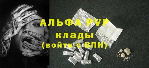индика Зеленокумск