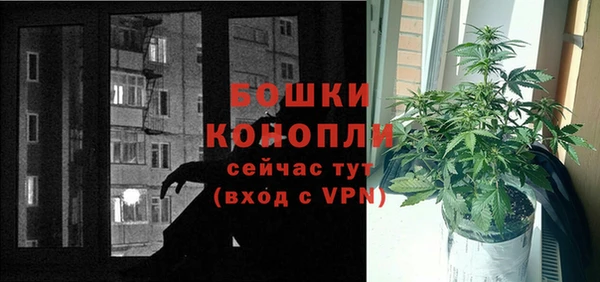 индика Зеленокумск