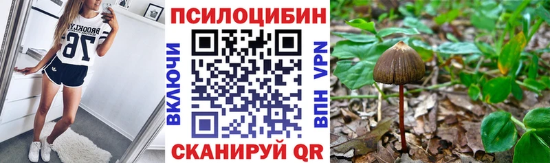 Купить закладки Зеленогорск Галлюциногенные грибы Cubensis
